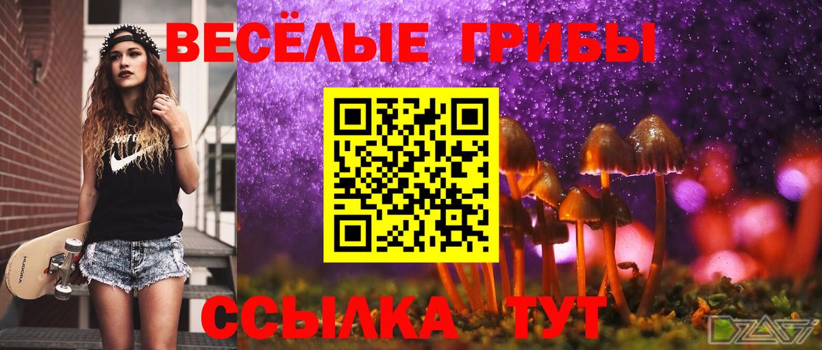 Псилоцибиновые грибы мухоморы Белорецк